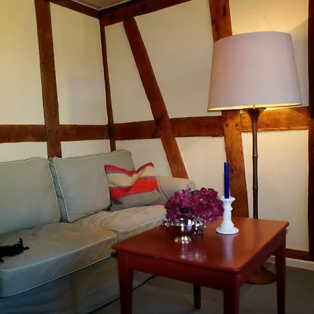 Apartment Ferienwohnung Mit 4 E Bikes *